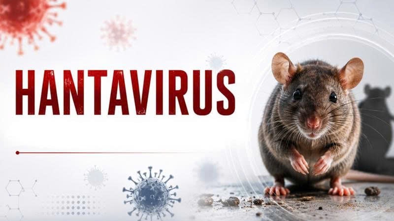 Hantavirus: Sự thật về mức độ nguy hiểm và lây lan của virus từ chuột